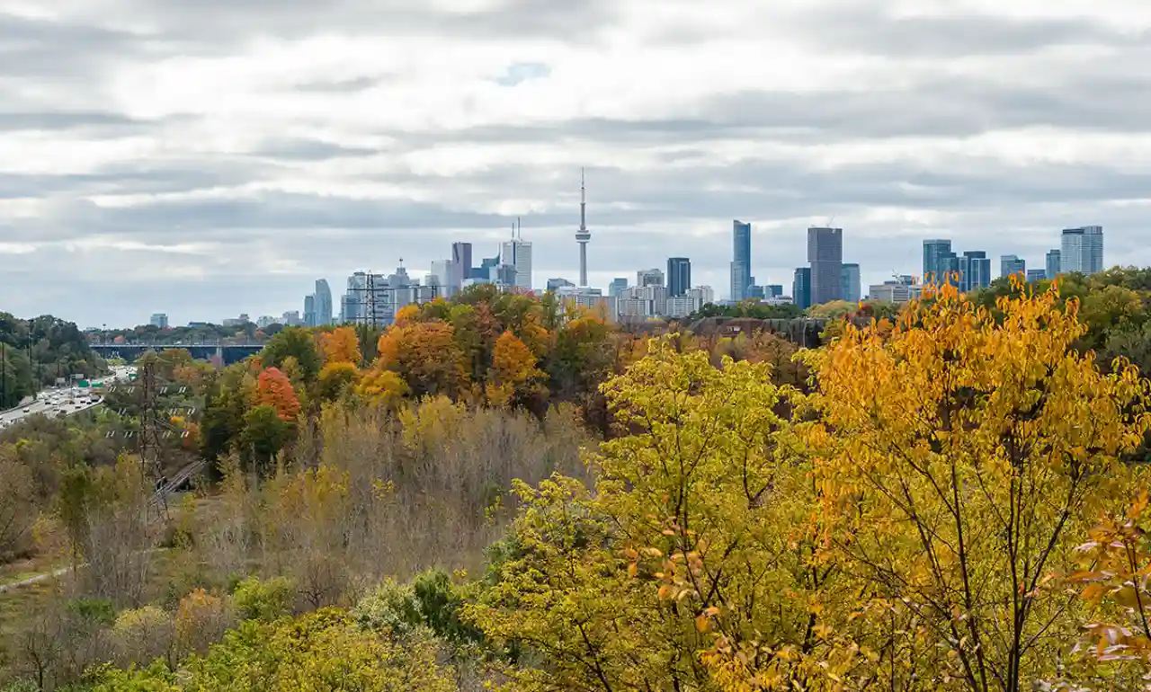 جادوی رنگ‌ها در Crothers Woods