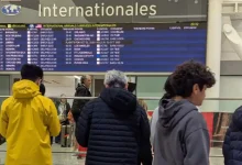 پژمان جمشیدی در کانادا