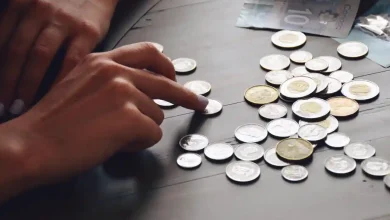 درآمد در انتاریو