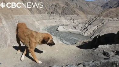 خشکسالی در ایران