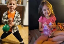 راز سربه‌مهر جنگل‌های نوا اسکوشیا