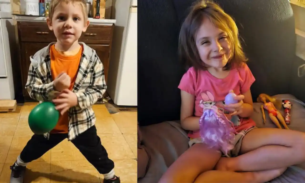 راز سربه‌مهر جنگل‌های نوا اسکوشیا