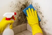 پاکسازی کپک از دیوارهای خانه در کانادا