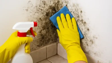 پاکسازی کپک از دیوارهای خانه در کانادا