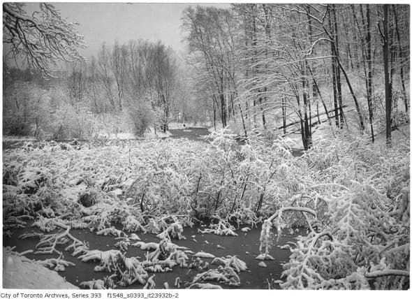 Winter pastoral in High Park, 1932