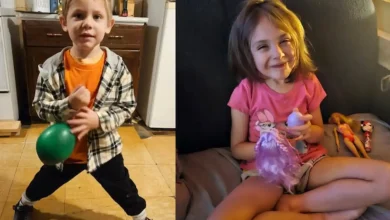 راز سربهمهر جنگلهای نوا اسکوشیا