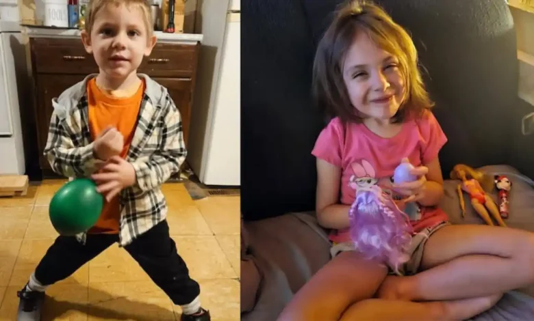 راز سربه‌مهر جنگل‌های نوا اسکوشیا