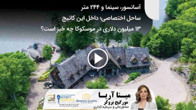 مینا آریا
